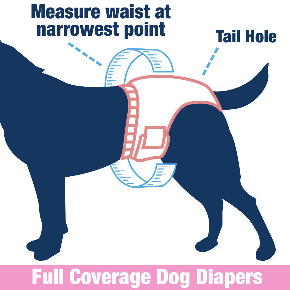 ValueFresh Female Dog Disposable Diapers, Large/X-Large, 288 Count BULK PACK - Full Coverage w/Tail Hole, Snag-Free Fasteners, Leak Protection, Wetness Indicator 