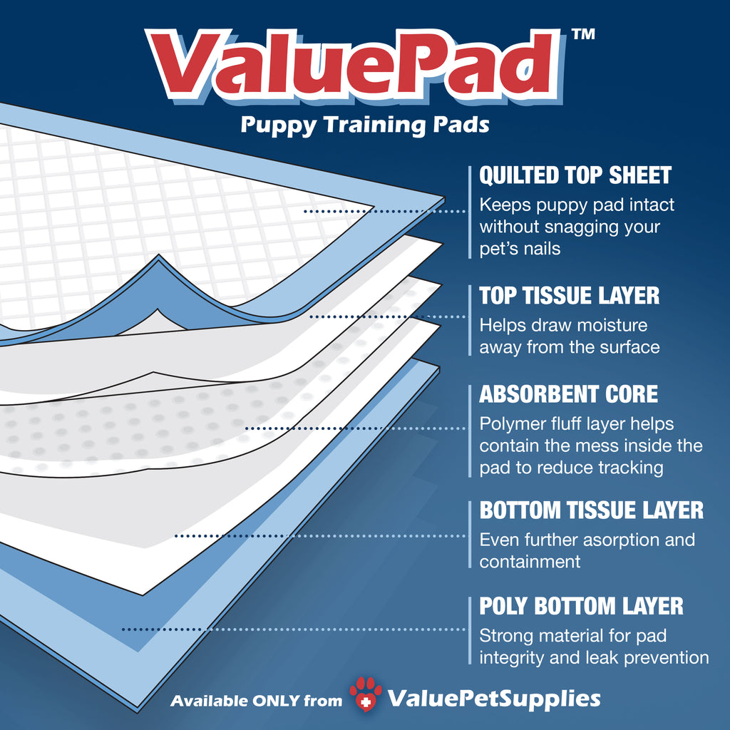 ValuePad Puppy Pads, Small 17x24 Inch, 300 Count - Economy Training Pads for Dogs, Leak Proof 5-Layer Design 