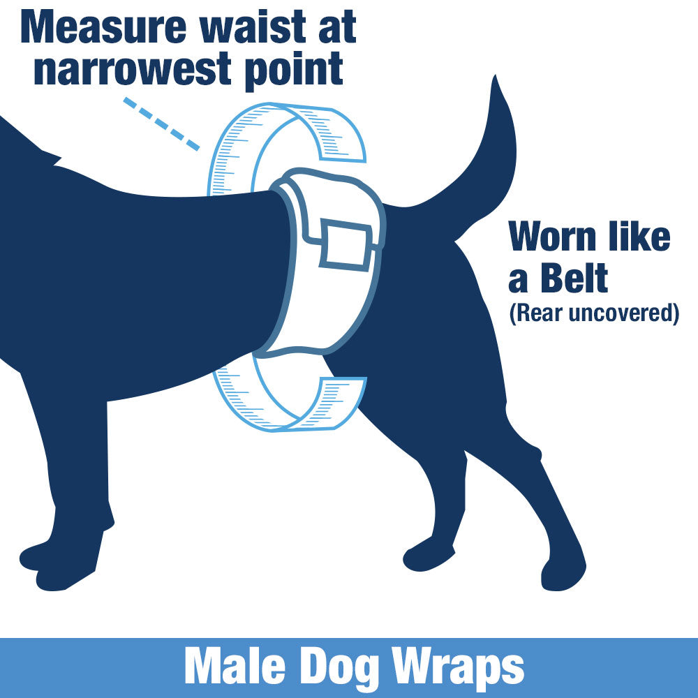 ValueWrap Male Wraps, Disposable Dog Diapers, 1-Tab Large, 144 Count - Snag-Free Fastener, Leak Protection, Wetness Indicator 